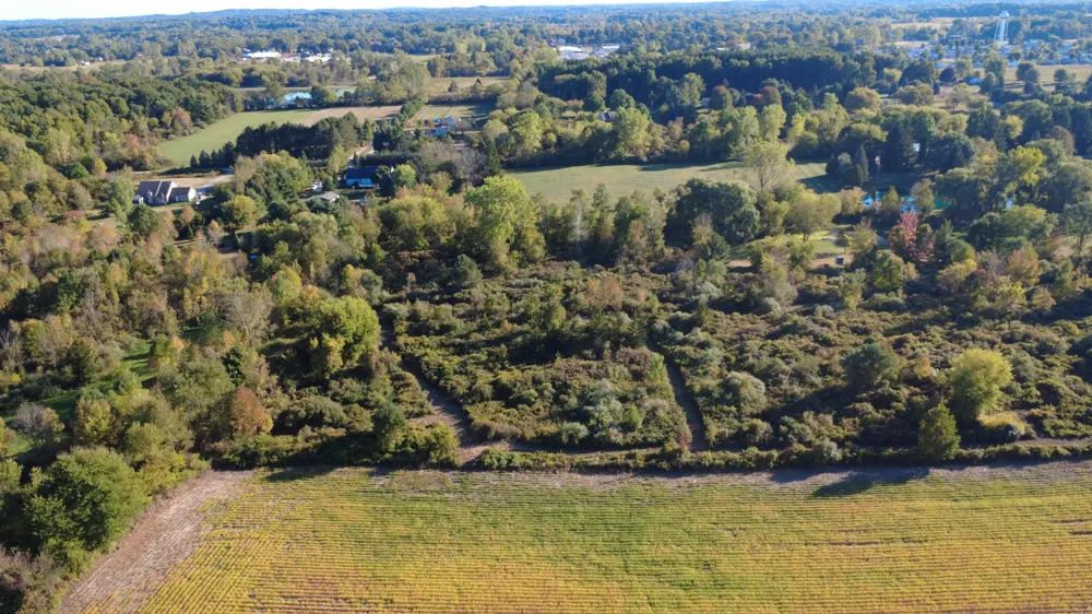 Mill Road Dryden, MI 48428