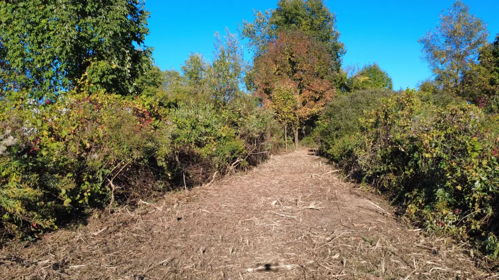 Mill Road Dryden, MI 48428