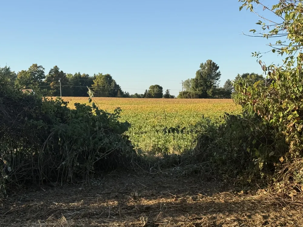 Mill Road Dryden, MI 48428