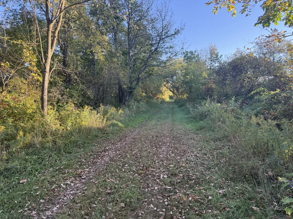 Mill Road Dryden, MI 48428