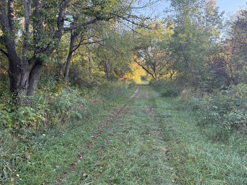 Mill Road Dryden, MI 48428
