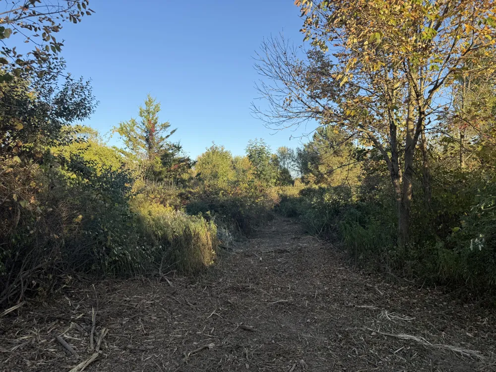 Mill Road Dryden, MI 48428