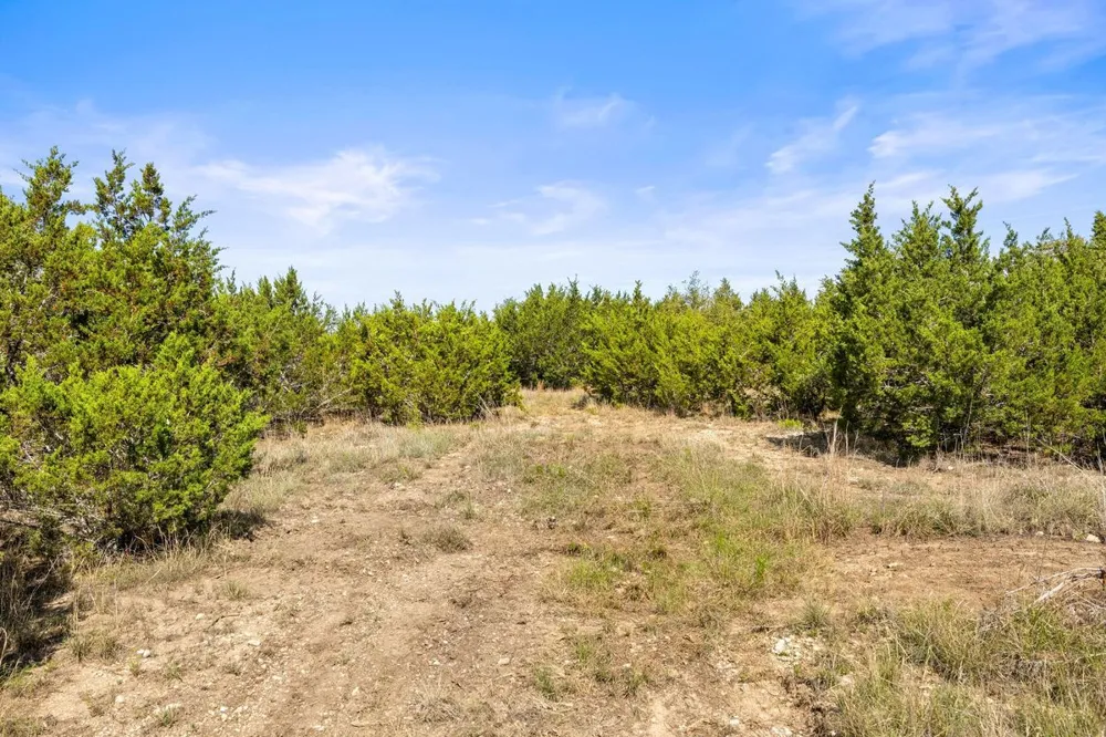 83 S Flat Rock Way Johnson City, TX 78636