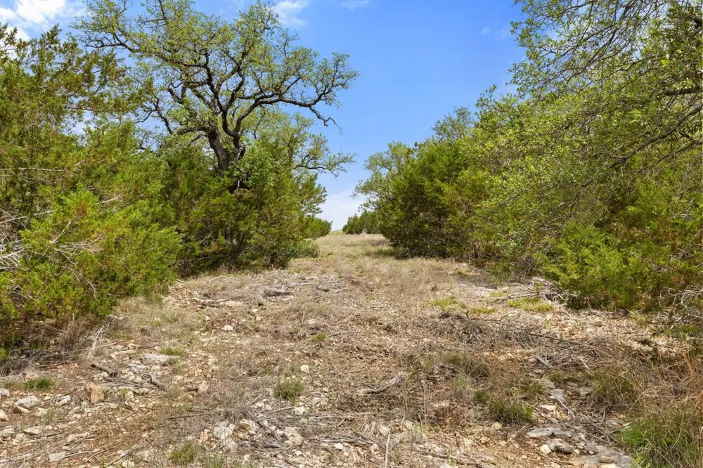 83 S Flat Rock Way Johnson City, TX 78636