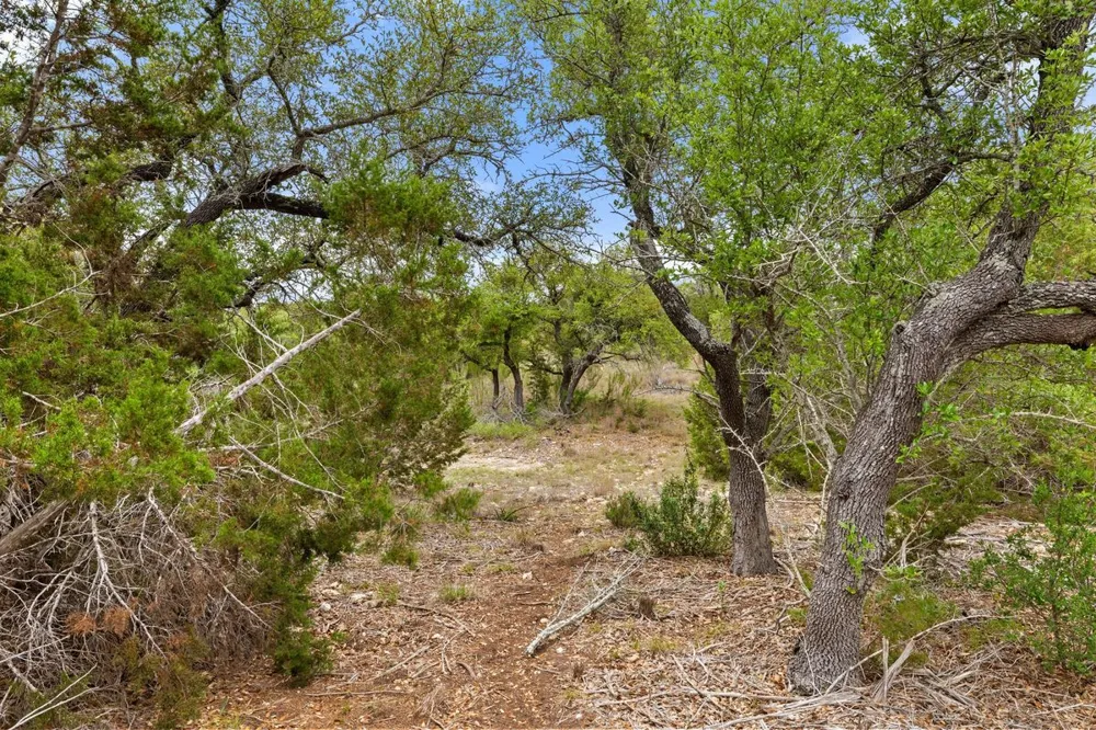 83 S Flat Rock Way Johnson City, TX 78636