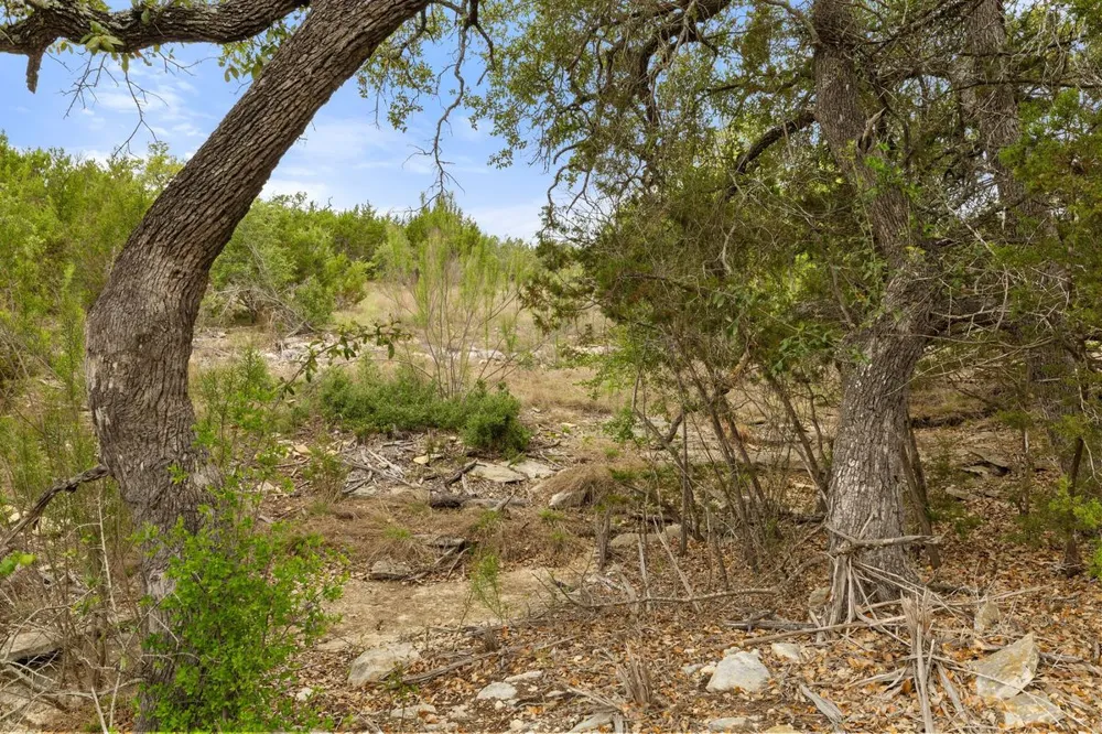 83 S Flat Rock Way Johnson City, TX 78636