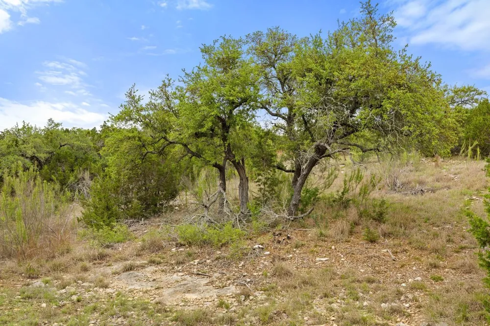 83 S Flat Rock Way Johnson City, TX 78636