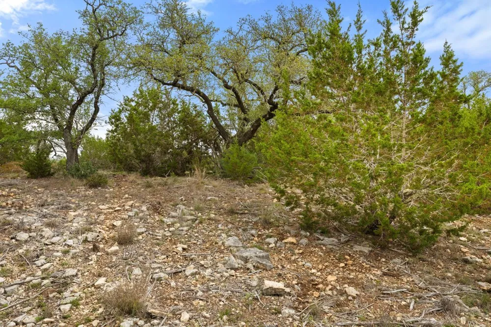 83 S Flat Rock Way Johnson City, TX 78636