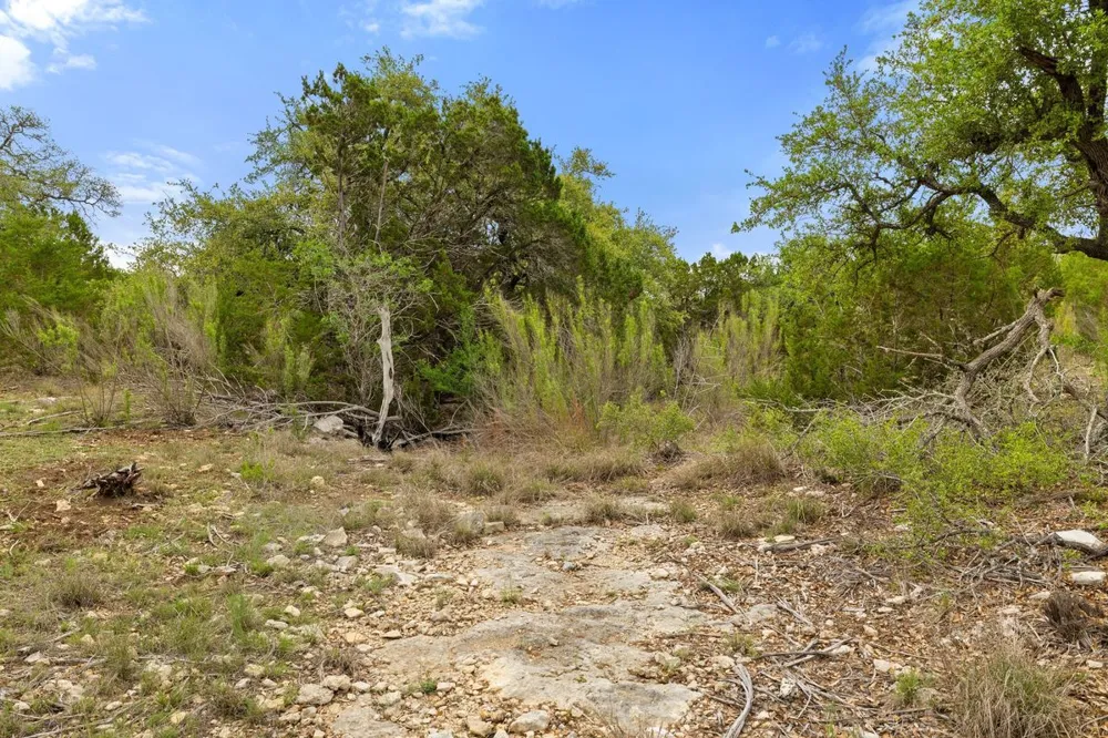83 S Flat Rock Way Johnson City, TX 78636