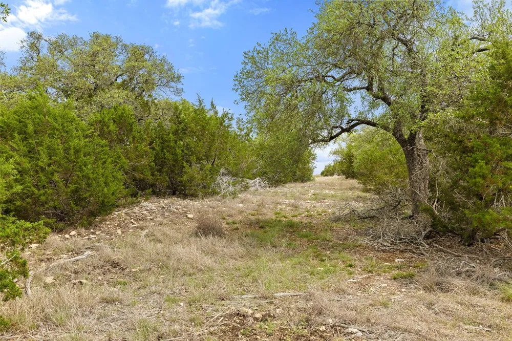 83 S Flat Rock Way Johnson City, TX 78636