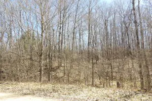23098 Miramichi Drive Evart, MI 49631