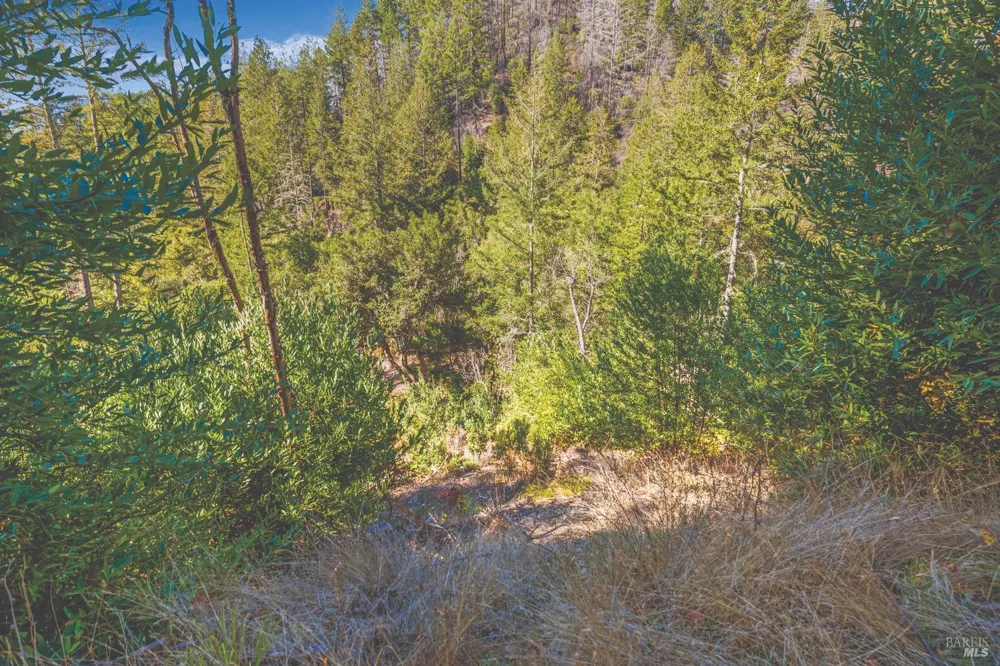 6581 St Helena Road Santa Rosa, CA 95404