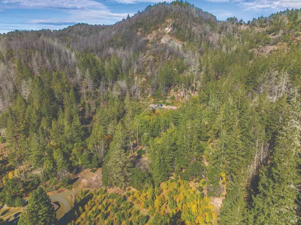 6581 St Helena Road Santa Rosa, CA 95404