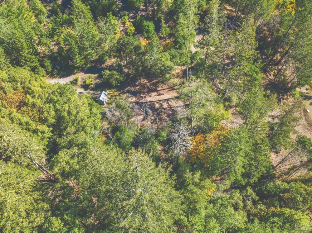 6581 St Helena Road Santa Rosa, CA 95404