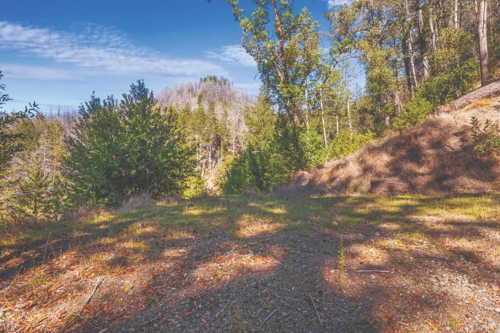 6581 St Helena Road Santa Rosa, CA 95404