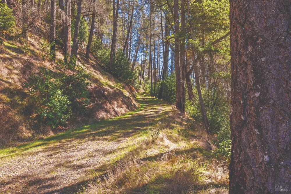 6581 St Helena Road Santa Rosa, CA 95404