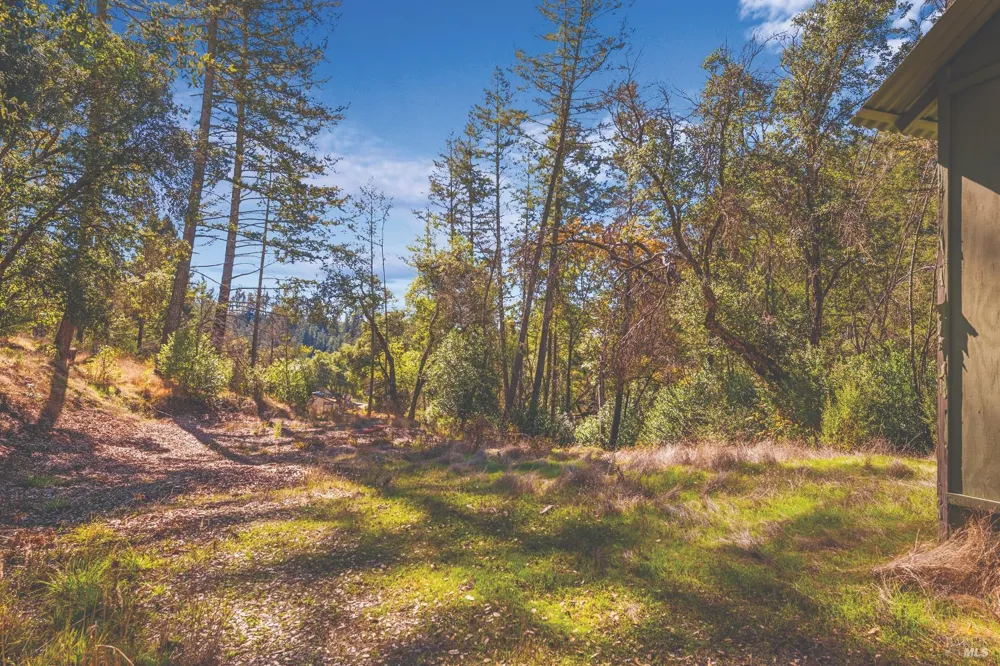 6581 St Helena Road Santa Rosa, CA 95404