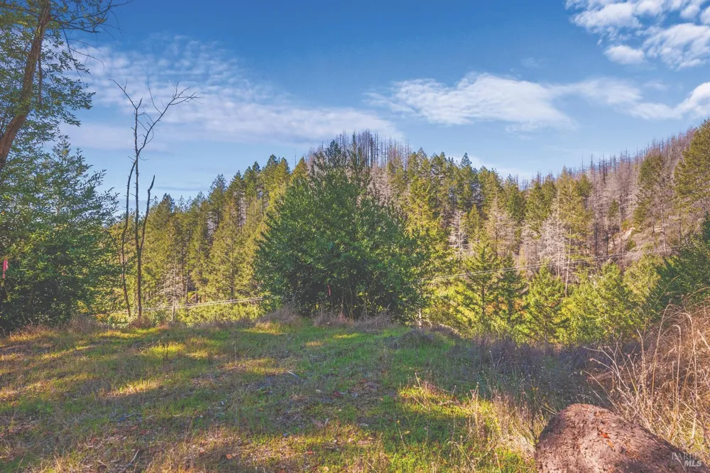 6581 St Helena Road Santa Rosa, CA 95404
