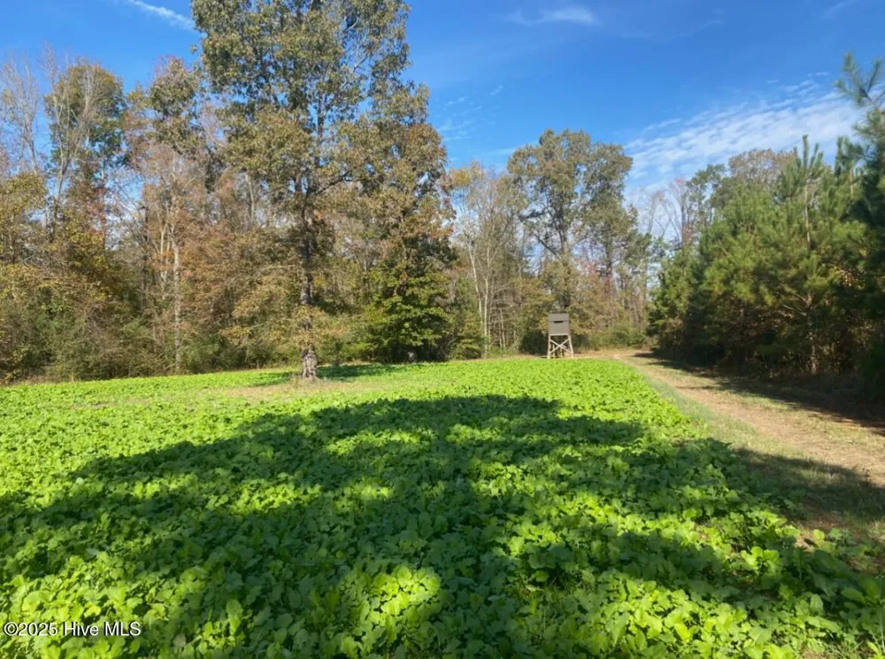 0 River Road White Oak, NC 28399
