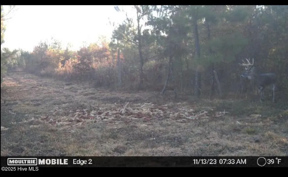 0 River Road White Oak, NC 28399