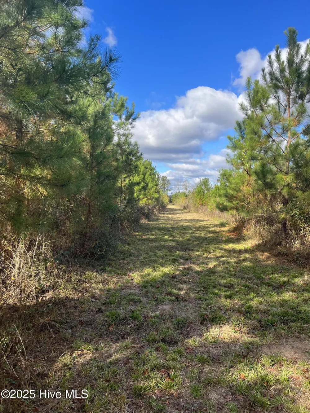 0 River Road White Oak, NC 28399