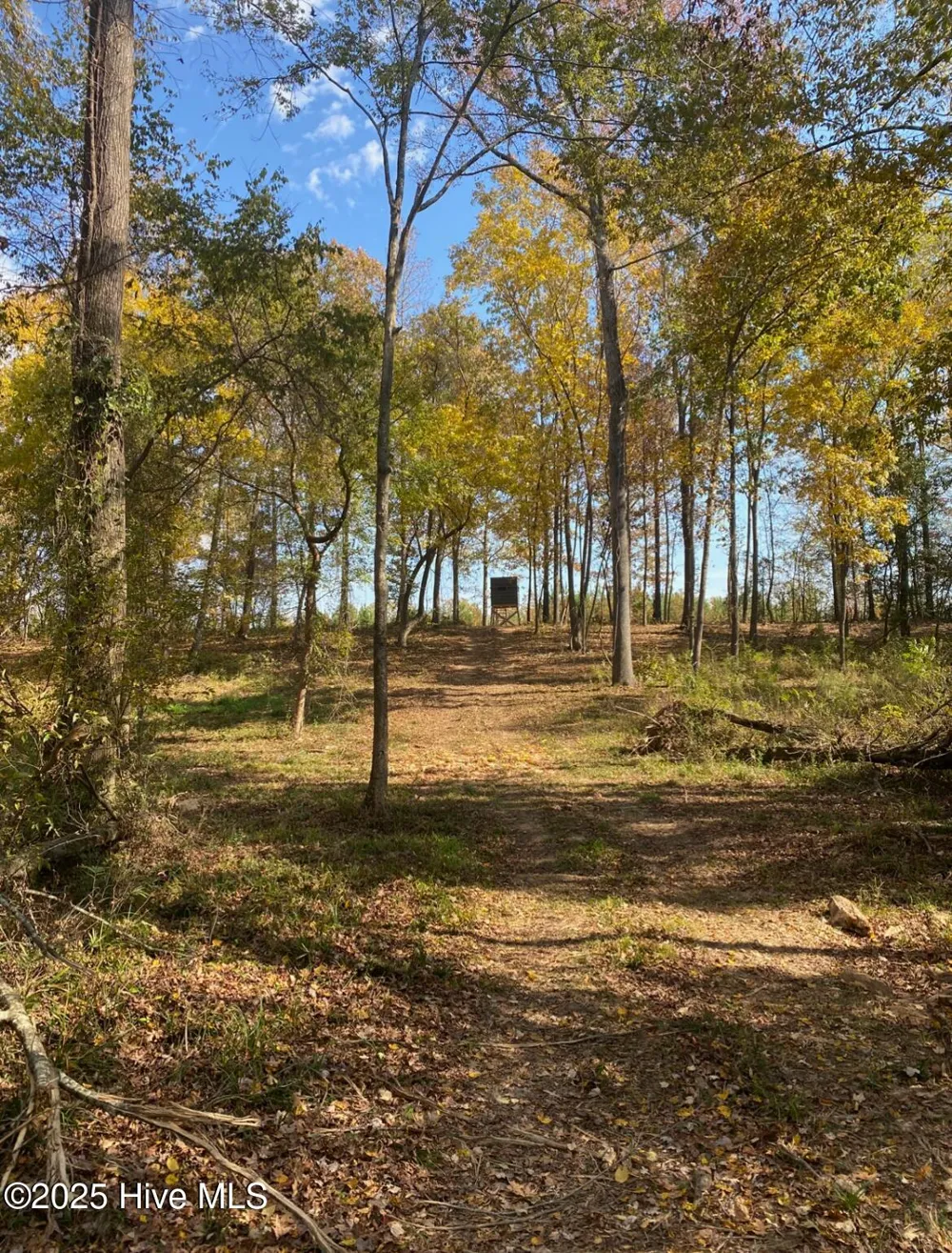 0 River Road White Oak, NC 28399