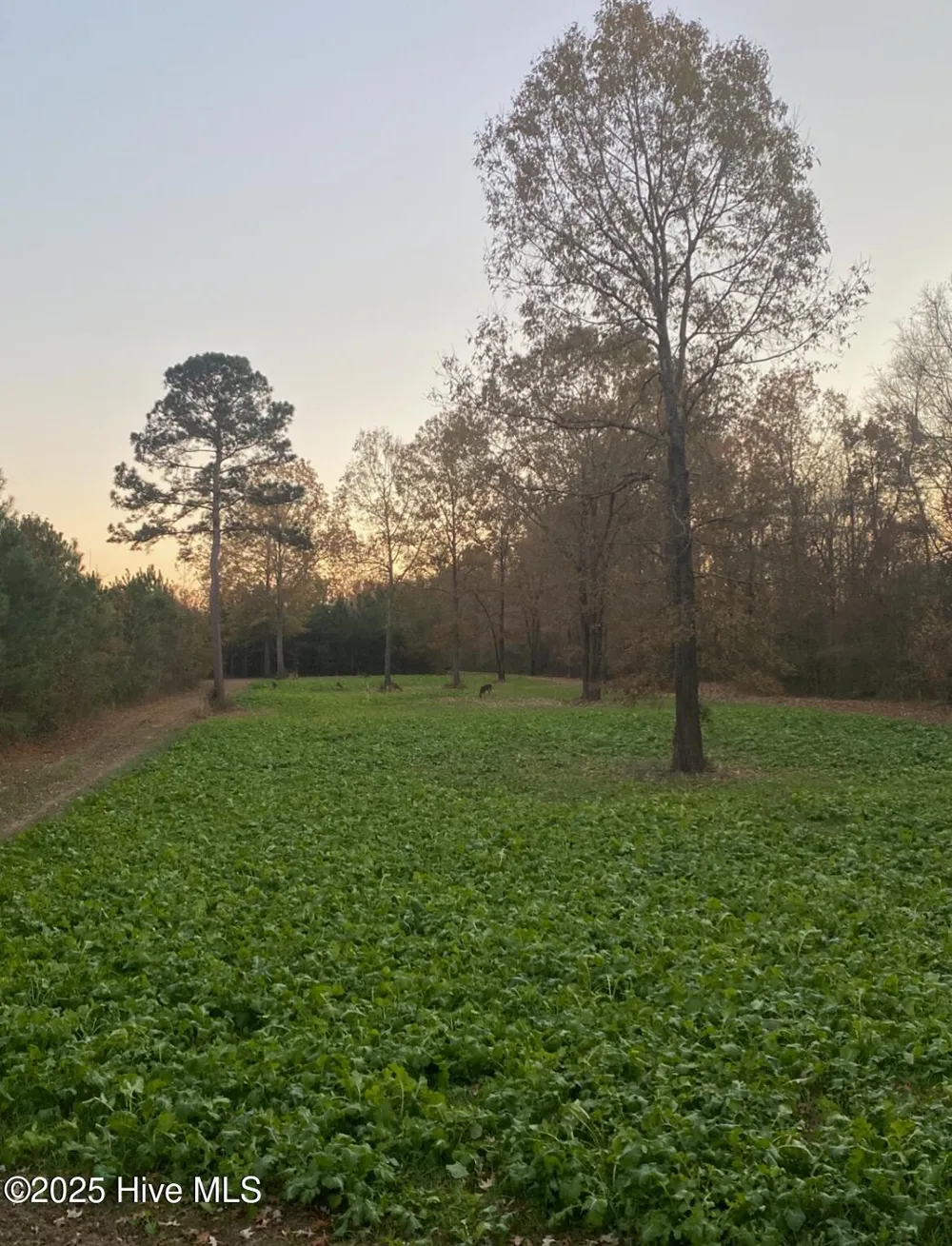 0 River Road White Oak, NC 28399