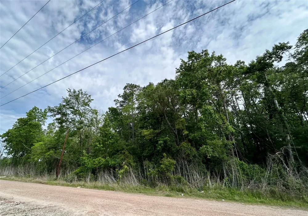 19356 Lady Bug Porter, TX 77365