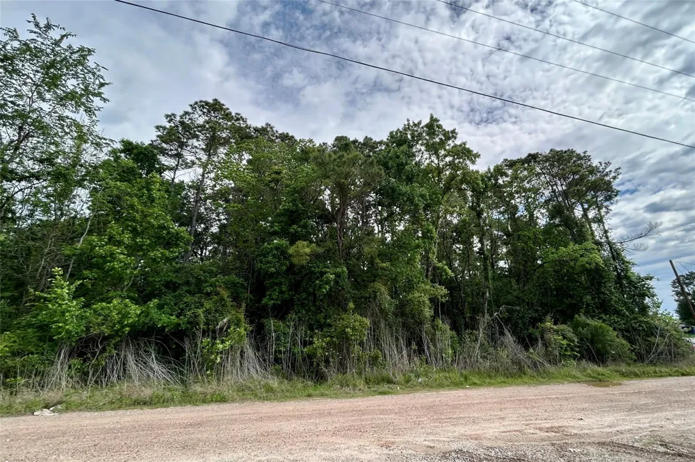 19356 Lady Bug Porter, TX 77365