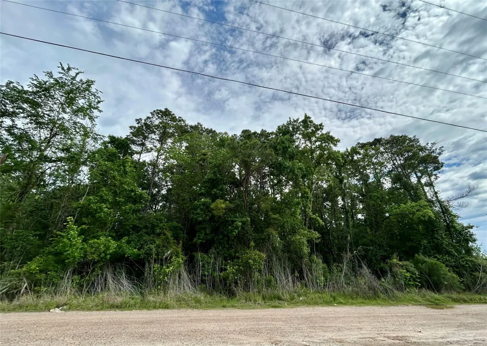 19356 Lady Bug Porter, TX 77365