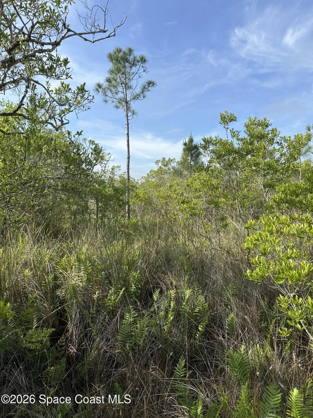 Jason Ave Avenue Cocoa, FL 32926