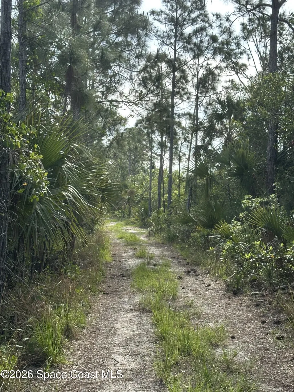 Jason Ave Avenue Cocoa, FL 32926