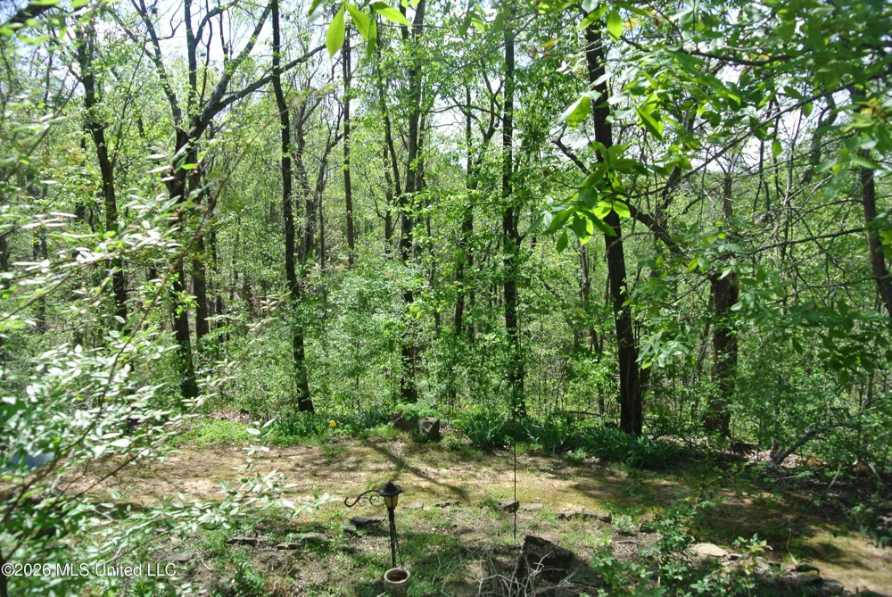 15 Tamara Trail Trail Iuka, MS 38852