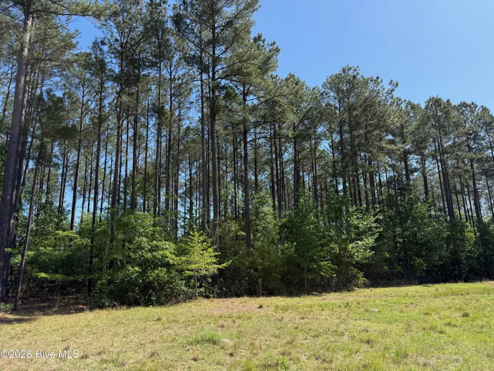 20.51 Acre Sweat Drive Bladenboro, NC 28320