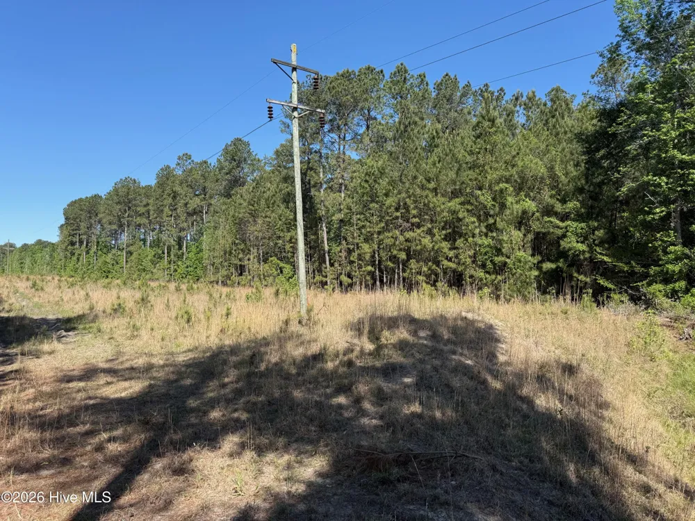 20.51 Acre Sweat Drive Bladenboro, NC 28320