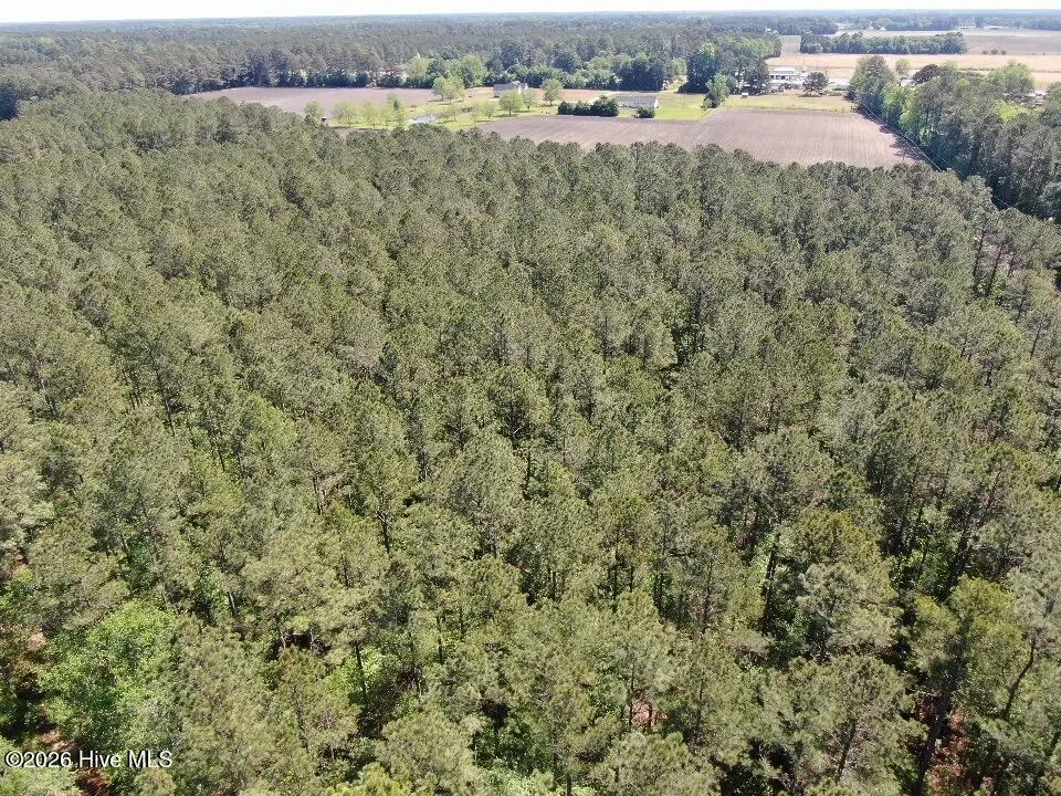 20.51 Acre Sweat Drive Bladenboro, NC 28320