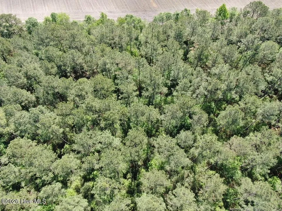 20.51 Acre Sweat Drive Bladenboro, NC 28320