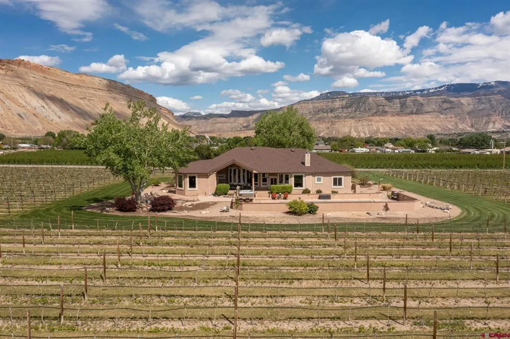 759 36 3/10 ROAD Palisade, CO 81526