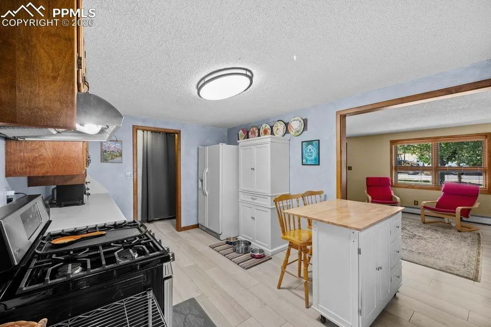 216 Crossman Avenue Buena Vista, CO 81211