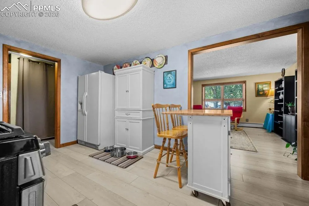 216 Crossman Avenue Buena Vista, CO 81211