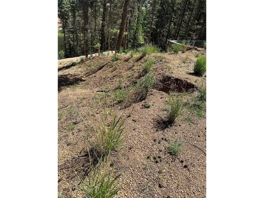 67 Gerka Lane Florissant, CO 80816