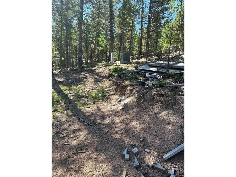 67 Gerka Lane Florissant, CO 80816