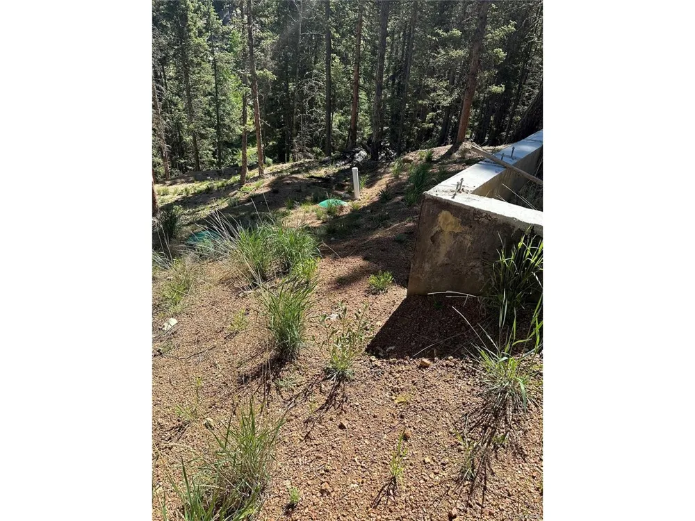 67 Gerka Lane Florissant, CO 80816