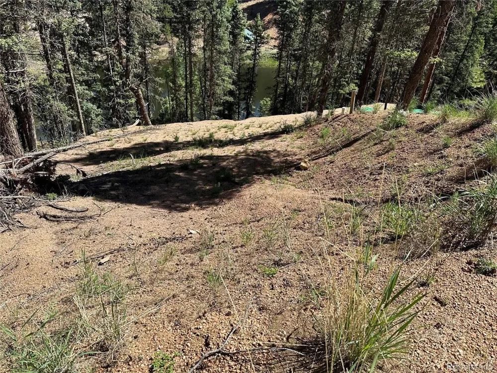 67 Gerka Lane Florissant, CO 80816