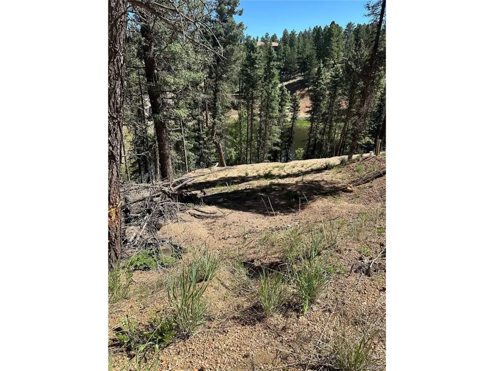 67 Gerka Lane Florissant, CO 80816