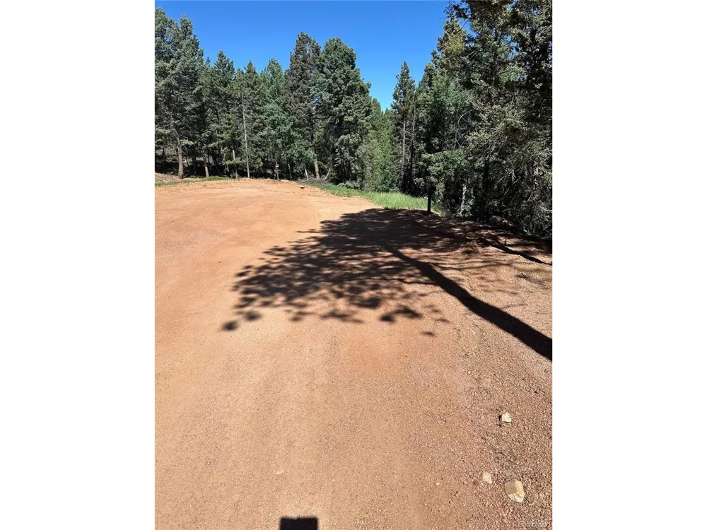 67 Gerka Lane Florissant, CO 80816
