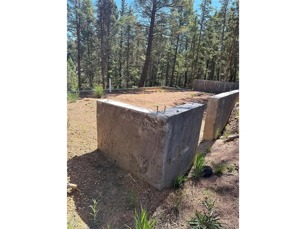 67 Gerka Lane Florissant, CO 80816