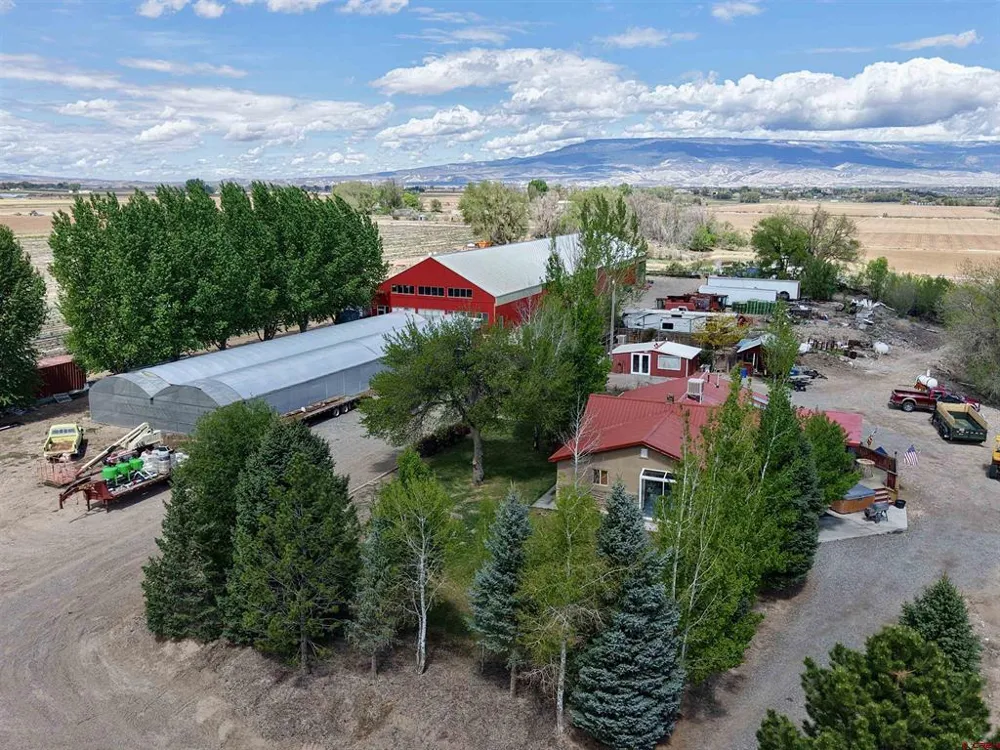 3998 5500 ROAD Olathe, CO 81425