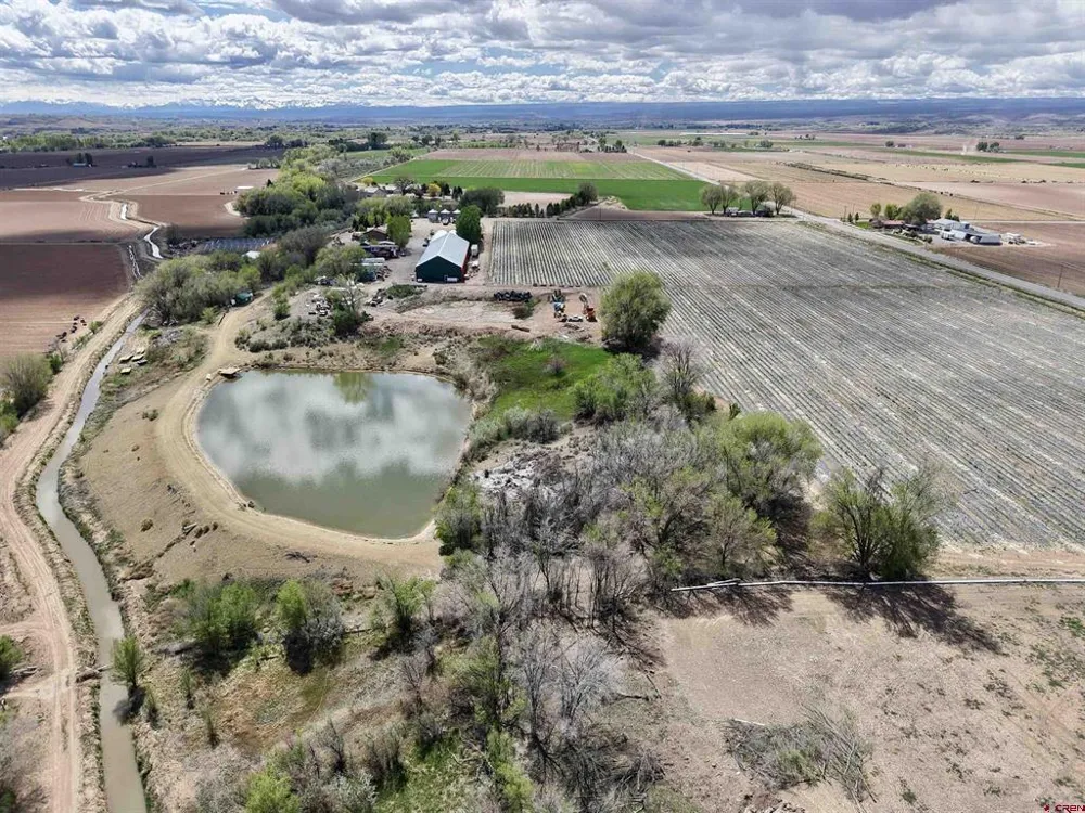 3998 5500 ROAD Olathe, CO 81425