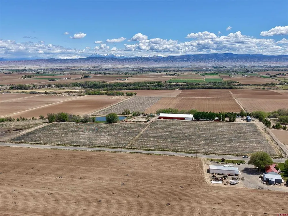3998 5500 ROAD Olathe, CO 81425
